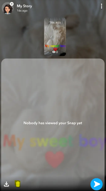 Cómo eliminar una historia de Snapchat