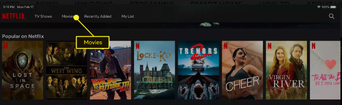 Cómo descargar películas de Netflix en iPad